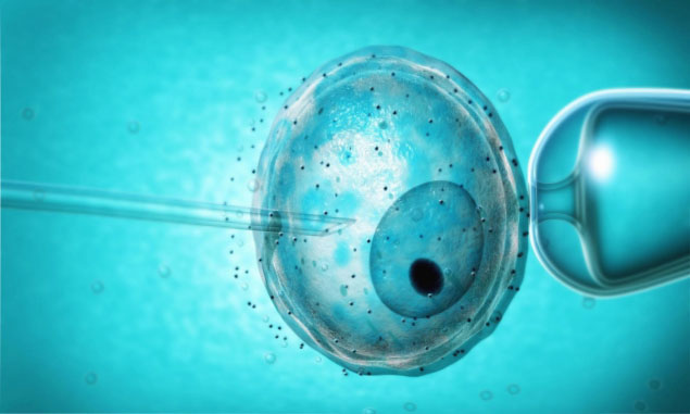 ​Жизнеспособен ли эмбрион? Узнайте через несколько часов после ЭКО