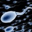 Приглашаем доноров спермы, 4-5000 разово