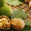 Орехи помогут справиться с бесплодием