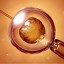 Празднование всемирного дня эмбриолога: 25 июля