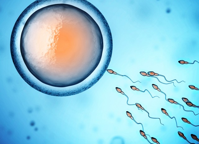 Шанс успешного зачатия покажет специальный тест “На активность семенной жидкости”