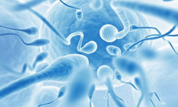 Микроробот, ускоряющий сперматозоиды