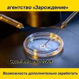 агентство "Зарождение" ищем доноров ооцитов
